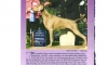 Grand Contessa ( Bella's Grandmother)