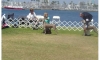 A. Bella in front nationals