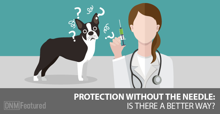 Dog Vaccinations – Do They Really Need Them?